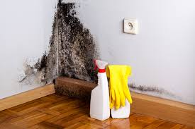 Best Mold Remediation for Healthcare Facilities  in Slocom, AL